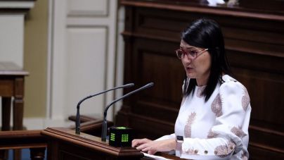 El PSOE apoya el nuevo programa de financiación plurianual de las universidades públicas canarias