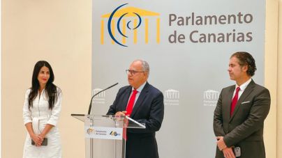 Los diputados de ASG han registrado 1.137 iniciativas en el Parlamento durante la X legislatura