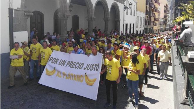Los plataneros de La Palma denuncian su “agonía” económica con la “complicidad” de organizaciones agrarias