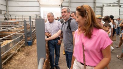 Clavijo sacará al campo canario del “vagón de cola” con un plan específico para el sector