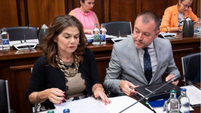 El Pleno del Cabildo respalda por unanimidad declarar de interés insular el proyecto 'Dreamland Studios Canarias'