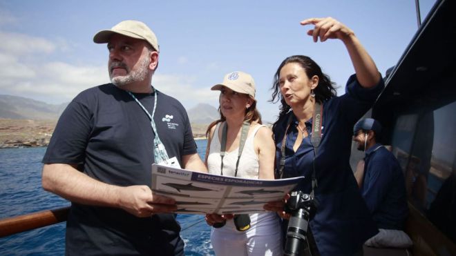 Tenerife apuesta por la biodiversidad marina