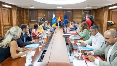 El Gobierno encarga un informe para cuantificar los daños causados por el incendio de Tenerife