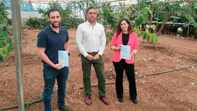 La huella hídrica del aguacate es casi seis veces mayor que la del plátano