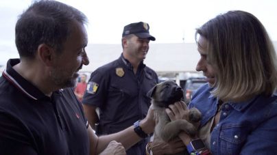 Los primeros cachorros de la Unidad Canina cumplen un mes de vida