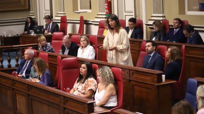El PSOE critica la “falta de compromiso” del Gobierno canario con el sector cultural