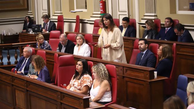 El PSOE critica la “falta de compromiso” del Gobierno canario con el sector cultural