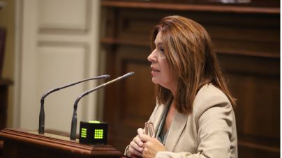 NC-BC defiende en el Parlamento una solución a la injusticia con los profesores de los conservatorios