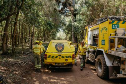Actualización de la situación del incendio forestal de Tenerife