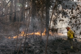 Actualización de la situación del incendio forestal de Tenerife
