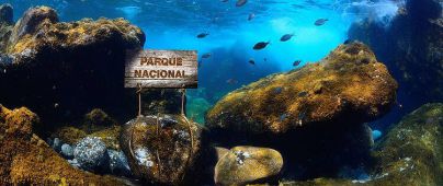 La AHI no dará un cheque en blanco para crear el Parque Nacional Marino
