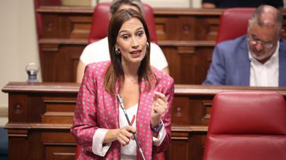 Fierro a Domínguez: “En su gestión solo hay eco"