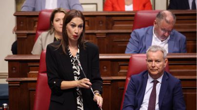 El PSOE denuncia que el PP de Canarias traiciona a su tierra