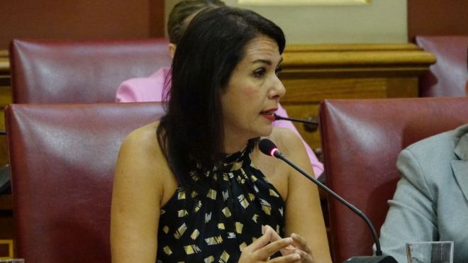 Santa Cruz y AECOC impulsan un nuevo modelo de distribución de mercancías