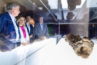 La momia de Erques pasa del museo arqueológico a un almacén