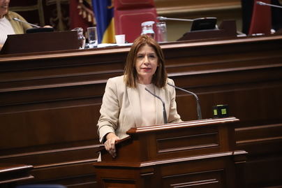 Carmen Hernández critica el rechazo del Gobierno de CC y el PP al Programa de Alquiler Seguro