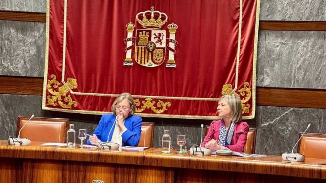 Violencia de género: 48 mujeres asesinadas en 2024, una cada 7,6 días