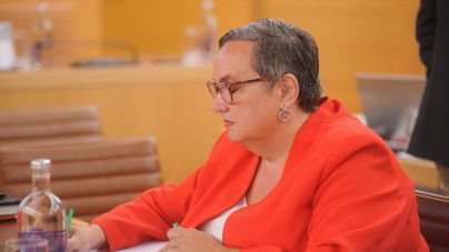 El PSOE de Tenerife exige camas elevables obligatorias en los hoteles