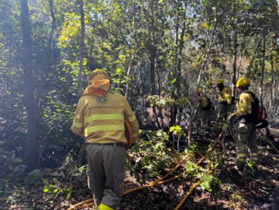 El incendio de Tenerife continúa registrando unas veinte reproducciones diarias