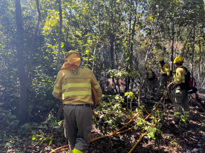 El incendio de Tenerife continúa registrando unas veinte reproducciones diarias