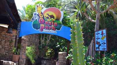 El Cabildo solicita que se declare de interés estratégico el Oasis Park