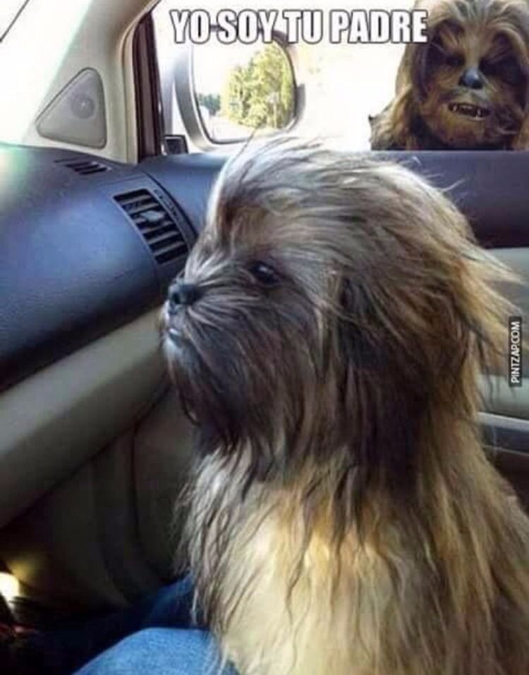 I am your father