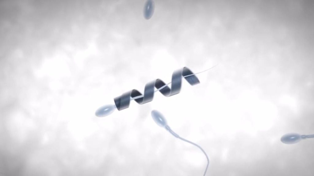 Spermbot, un robot para que los espermatozoides vagos den la talla