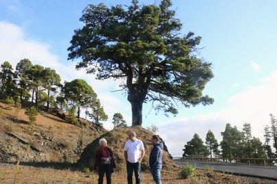 Un monumento en el Pino del Consuelo recordará a las víctimas palmeras de la represión franquista