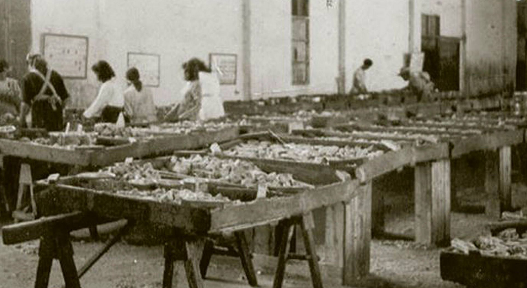 El Cabildo homenajea a las mujeres de los pescadores con motivo del Día de la Mujer Rural