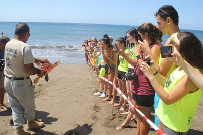 Devuelta al mar en Gran Tarajal una tortuga rescatada en 2017