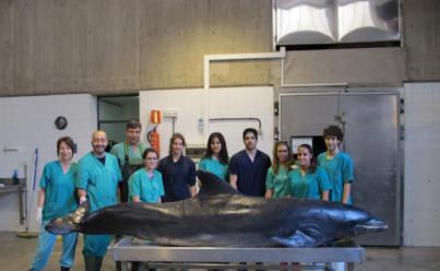 La Comisión Europea valora positivamente las actividades realizadas por la ULPGC con fondos europeos