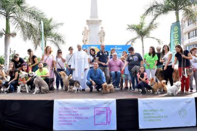 Santa Cruz castigará el maltrato animal con las "máximas penas y sanciones"