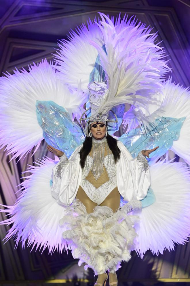 Ganadores del Concurso de Disfraces Adultos de los Carnavales del Mundo
