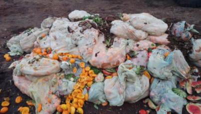 Comienza la recogida selectiva de residuos orgánicos del proyecto ‘Comunidad Turística Circular’ para hacer compost de alta calidad