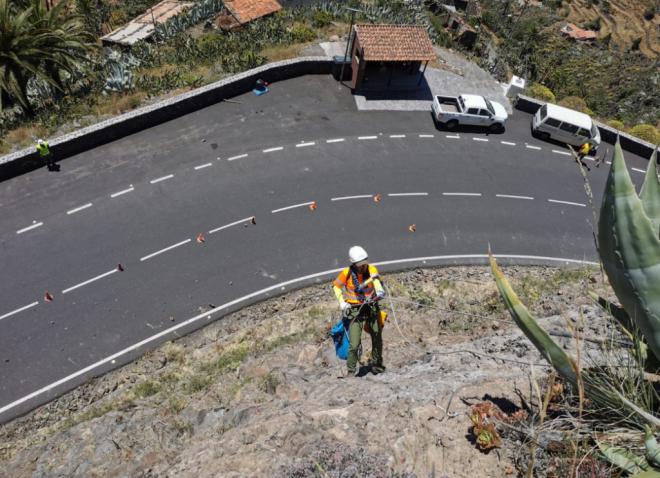 El Cabildo refuerza las tareas de control y erradicación de flora exótica en la isla