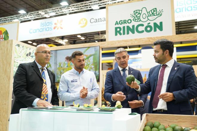 Canarias triplicó los envíos de aguacate a peninsula y extranjero