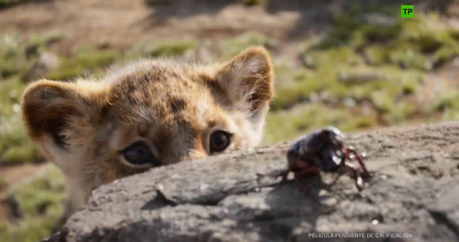 Nuevo tráiler de El Rey León: con Simba, Scar, Nala y Mufasa