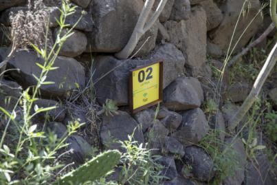 Más de 39.000 personas visitan Masca tras un año de su reapertura