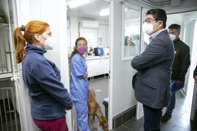 El Cabildo destina más de un millón de euros a bienestar animal