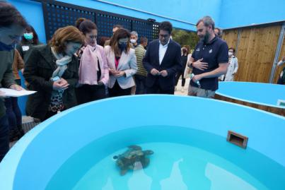En marcha una instalación para la rehabilitación de tortugas marinas en La Tahonilla