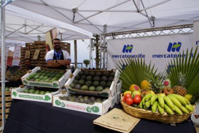 Más de una decena de asociaciones de productores se dan cita en la I Feria del Aguacate de Canarias
