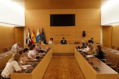 El Cabildo solicitará a los gobiernos nacionales y autonómicos avances en la ley de Bienestar animal