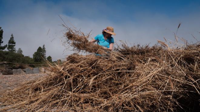 El sector primario celebra en El Tanque el Día de la Trilla