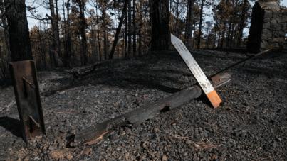 El Cabildo autoriza el uso habitual de los montes tras la eliminación de la Alerta por altas temperaturas