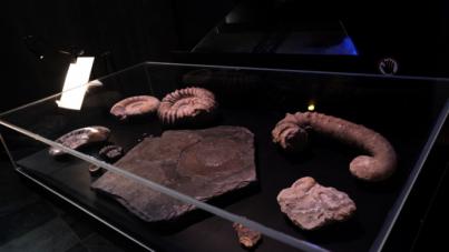 La exposición ¡Mira Arriba! en el Museo de la Ciencia y el Cosmos muestra el fabuloso mundo de los asteroides