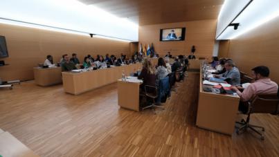 El Cabildo pide a las compañías aéreas un protocolo para facilitar los desplazamientos del presa canario