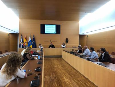 El Cabildo constituye la Mesa Insular del Pueblo Saharaui