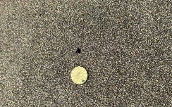 Las playas de La Restinga, El Barranquillo, Palos, San Borondón y del Hombre continuarán cerradas