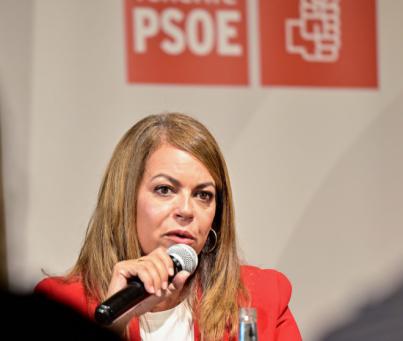 El Cabildo recorta los recursos para el medio ambiente y el Teide