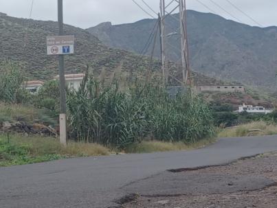NC pide a Bermúdez que no emplee asfalto para pavimentar el camino de El Cercado en San Andrés